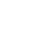 cat-icon
